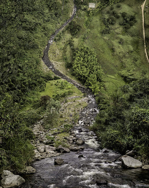 Vista para pequeno riacho que flui de grande colina verde na natureza. — Fotografia de Stock