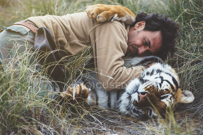 Человек гладит тигра, когда лежит в траве — стоковое фото