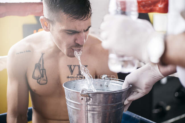 Boxeador deportista en el ring escupiendo el agua al cubo. - foto de stock