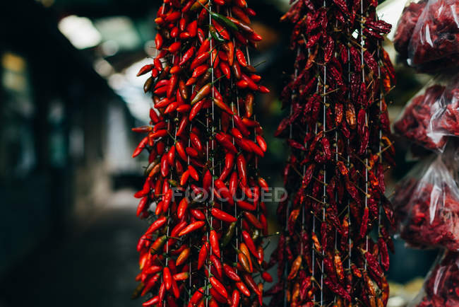 Diferentes chiles colgando y colgando en el mercado campesino - foto de stock