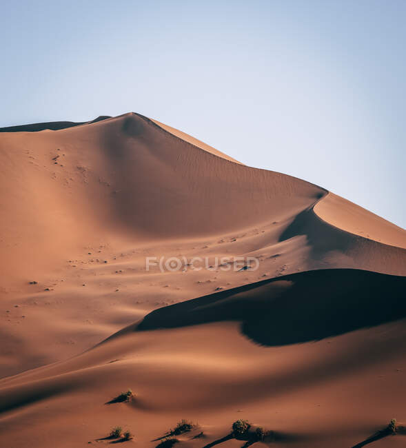Dune in sunny day in Namibia Desert — Stock Photo