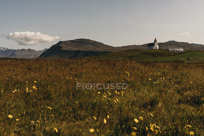 Campo verde con fiori fioriti e piccoli edifici sulla collina. — Foto stock