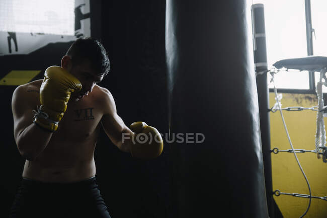 Boxer sem camisa em luvas de pé e saco de perfuração durante o exercício. — Fotografia de Stock