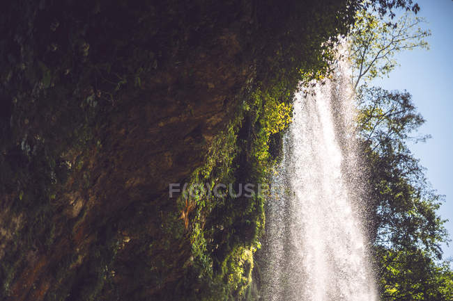 Величественный водопад, текущий в джунглях, Мексика — стоковое фото