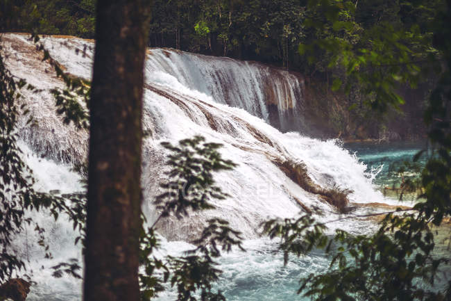 Удивительный водопад, расположенный в джунглях в Чьяпасе, Мексика — стоковое фото