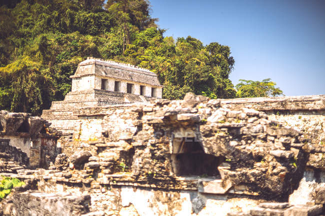 Mayan pyramid located in Palenque city in Chiapas, Mexico — Stock Photo
