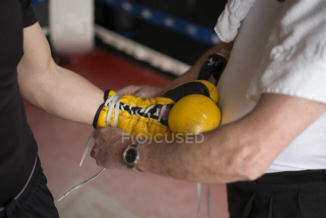 Entraîneur adulte attachant gant de boxer sur la main du sportif dans l'anneau. — Photo de stock