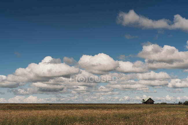 Pequena casa de madeira no campo seco no dia nublado. — Fotografia de Stock