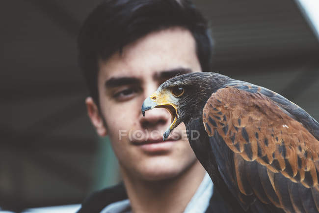 Close-up of Man looking at falcon sitting on hand — Stock Photo