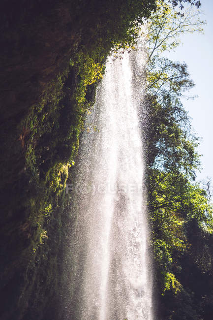 Величний водоспад тече в джунглях, Мексика — стокове фото