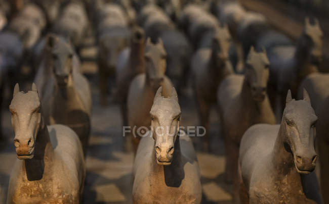 Набор терракотовых лошадей Сиань, Китай — стоковое фото