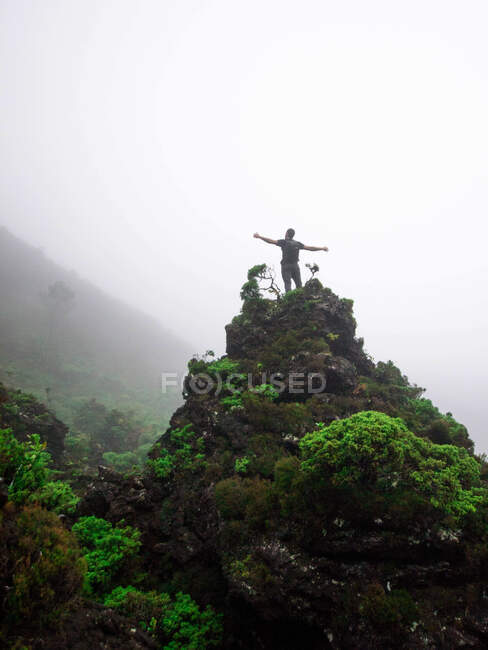 Dal basso vista dell'uomo in con zaino tenendo le mani a parte godendo vista da alta roccia verde nella valle tropicale — Foto stock