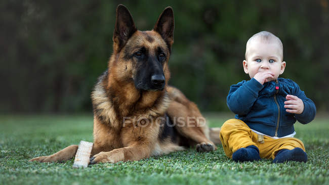 Lindo niño sentado con gran perro en el césped verde y mirando a la cámara - foto de stock