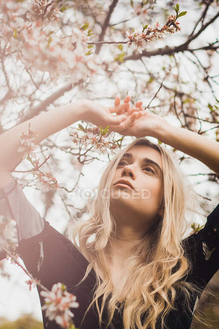 Молода блондинка стоїть на квітучому дереві з руками вгору — стокове фото