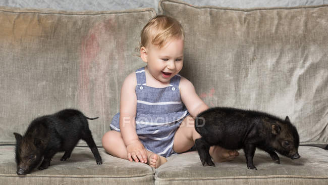 Mignon petit garçon assis avec deux petits cochons noirs mini sur le canapé — Photo de stock