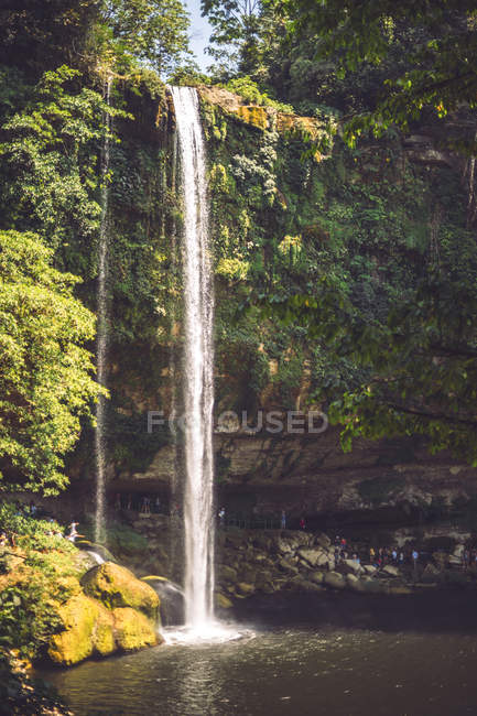 Cascata caduta dalla scogliera nella maestosa giungla messicana — Foto stock