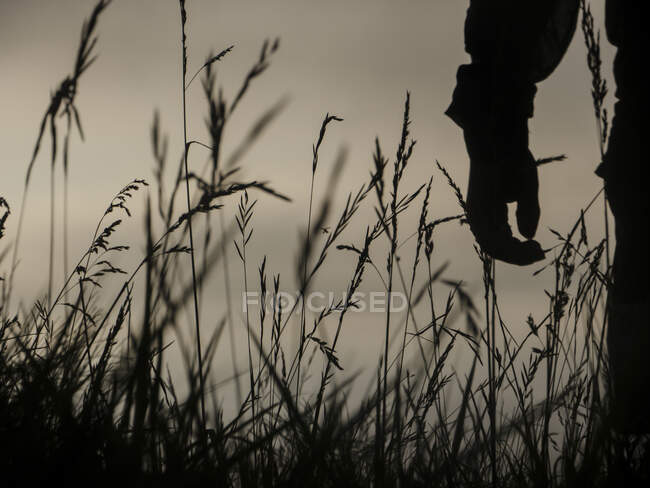 Colpo in bianco e nero di persona anonima in piedi tra erba alta che cresce in campo rurale — Foto stock
