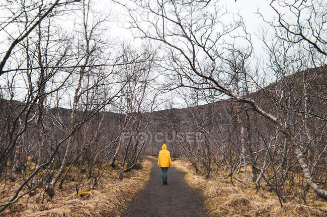 Person standing on countryside road — Stock Photo
