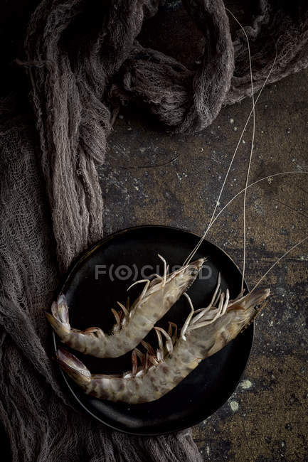 Raw king prawns on black plate — Stock Photo