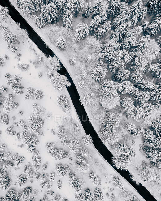 Top view of asphalt road line in white winter forest covered with snow. — Stock Photo