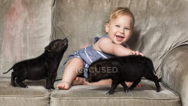 Симпатичний маленький хлопчик сидить з двома маленькими чорними міні свинями на дивані — стокове фото
