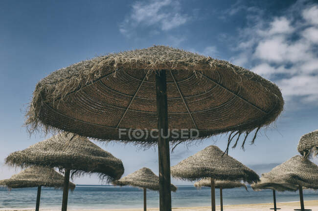 Sombrillas de paja contra cielo portugal - foto de stock