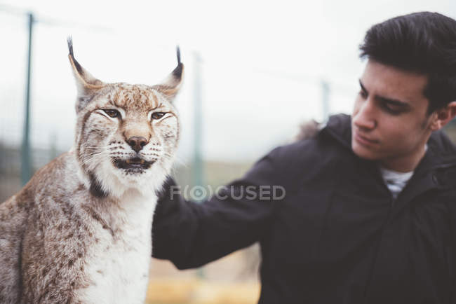 Молодий чоловік погладжує рись в зоопарку — стокове фото