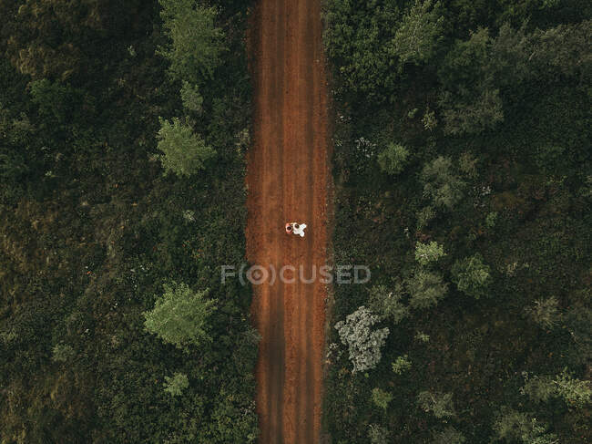 Top view of unrecognizable people standing on rural road in green nature. — Stock Photo