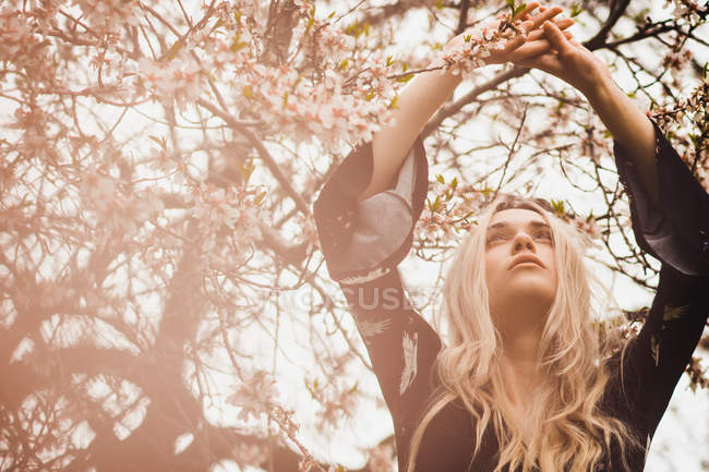Молодая блондинка стоит у цветущего дерева с поднятыми руками — стоковое фото