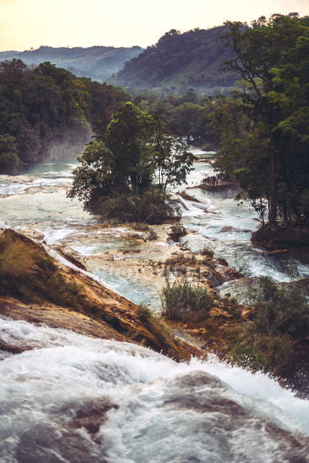 Водоспад хлюпалися у джунглях у Чьяпас, Мексика — стокове фото