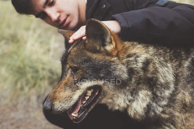 Giovane uomo accarezzando lupo nello zoo — Foto stock