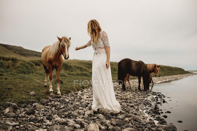 Боковой вид неузнаваемой женщины, стоящей и дергающей за руку лошадь, стоящую на лугу у реки. — стоковое фото