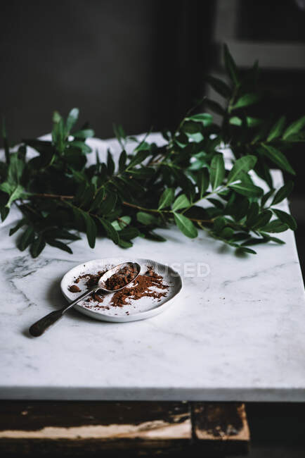Teller mit schönem Kakaopulver steht auf Marmortischplatte neben grünem Pflanzenzweig — Stockfoto