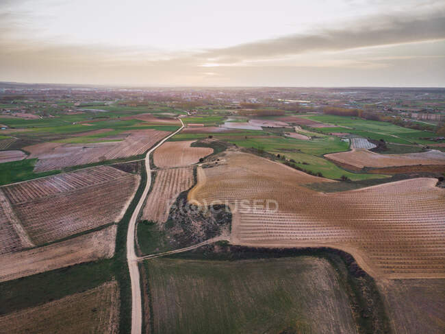 Вид с воздуха на зеленые плантации — стоковое фото