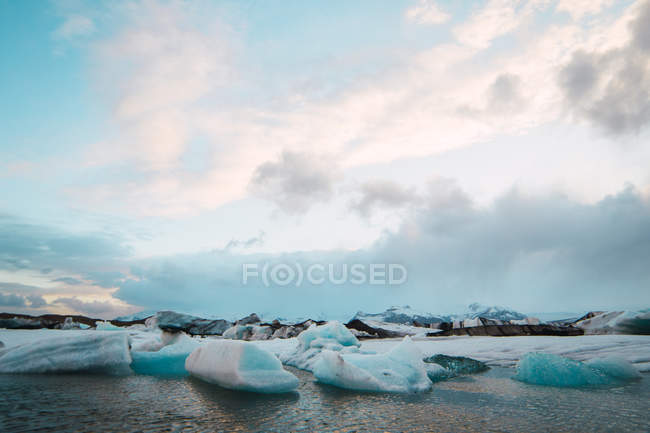 Trozos de hielo flotando en agua de mar - foto de stock