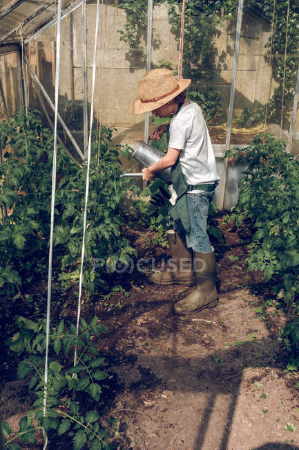 Ragazzo irrigazione piante in serra — Foto stock