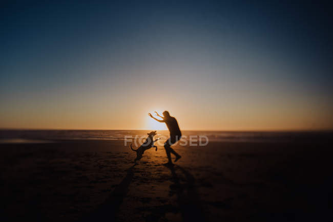 Чоловік грає з собакою на пляжі — стокове фото