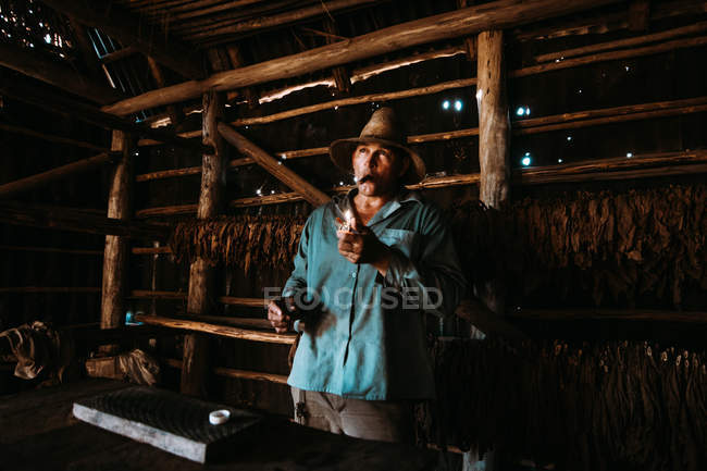 LA HABANA, CUBA - MAY 1, 2018: Local man smoking cigar among tobacco drying in farm barn. — Stock Photo