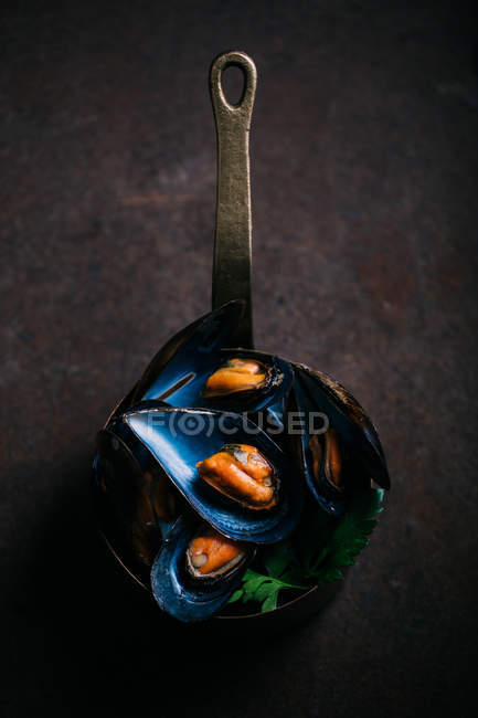 Moules fraîches bouillies — Photo de stock