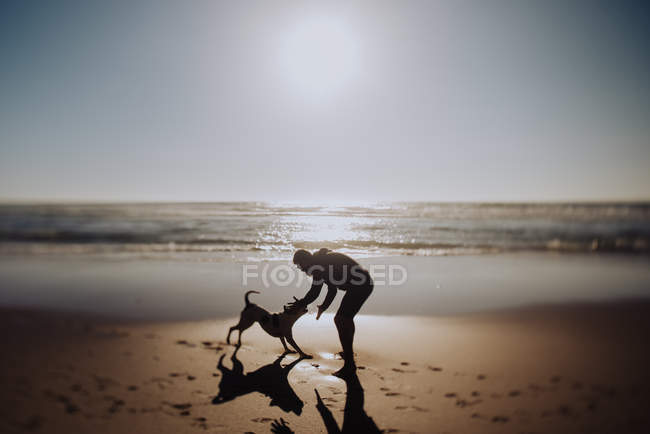 Hombre jugando con perro en la playa - foto de stock