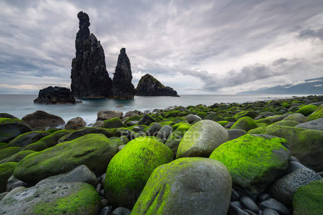 Moosige Felsbrocken an der Küste — Stockfoto
