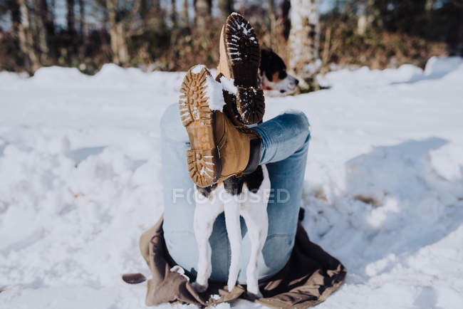 Person spielt im Winter mit Hund — Stockfoto