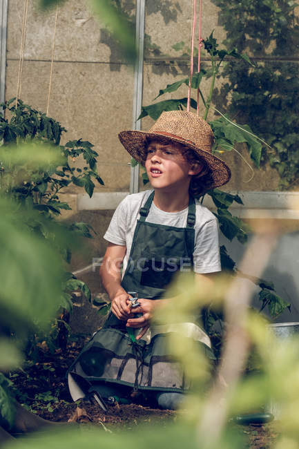 Мальчик работает в теплице — стоковое фото