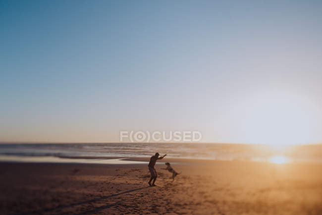 Чоловік грає з собакою на пляжі — стокове фото