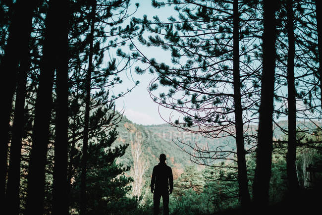 Mann steht im Wald — Stockfoto