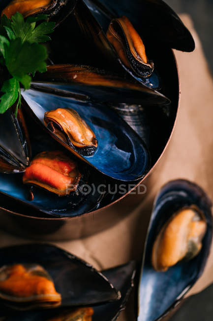 Boiled fresh mussels — Stock Photo
