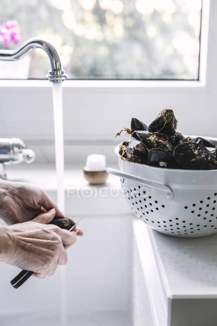 Human hands opening mussels — Stock Photo
