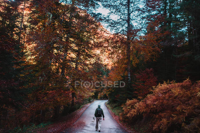 Homme marchant sur la route dans la forêt d'automne — Photo de stock