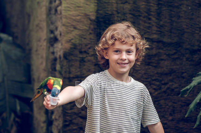 Elementary age boy feeding colorful parrot in zoo. — Stock Photo