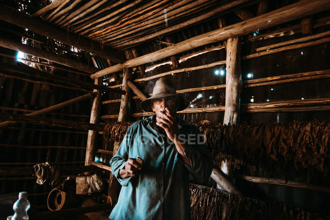 LA HABANA, CUBA - MAIO 1, 2018: Homem local segurando isqueiro e charuto e olhando na câmera entre as folhas de tabaco secando no celeiro da fazenda . — Fotografia de Stock
